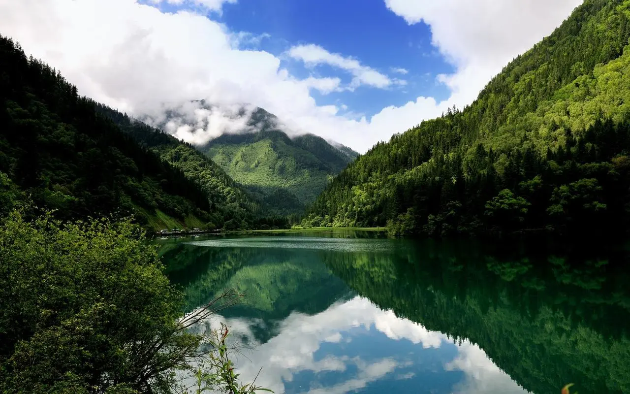 高标准高端